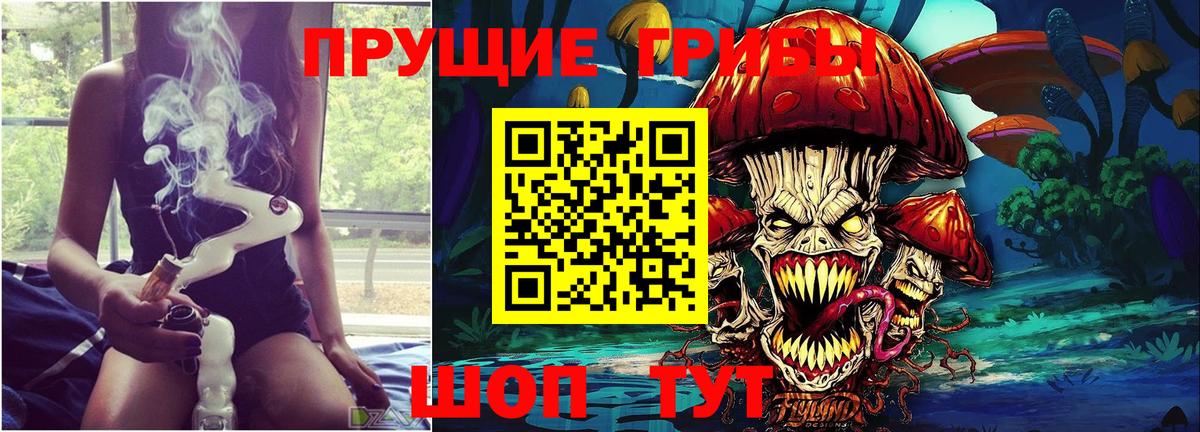 Псилоцибиновые грибы Cubensis  где продают наркотики  Хасавюрт  Вход с VPN  Псилоцибиновые грибы мухоморы 